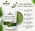 Natural Wheatgrass Powder | Ayurvedic Green Superfood Supplement | Rich in Nutrients & Antioxidants