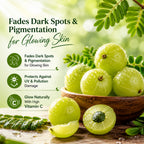 Natural Amla Tablets | Ayurvedic Vitamin C & Immunity Support Supplement | Herbal Wellness Tablets