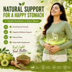 Pachak Churna – Amla & Fennel Seed Digestive Powder for Gut Health & Digestion | Natural Health Supplement