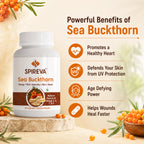 SPIREVA Sea Buckthorn Herbal Capsules | Natural Omega 3 6 7 9 Supplement for Daily Wellness