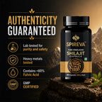 SPIREVA Organic Spirulina Capsules | Nutrient-Rich Superfood for Men & Women