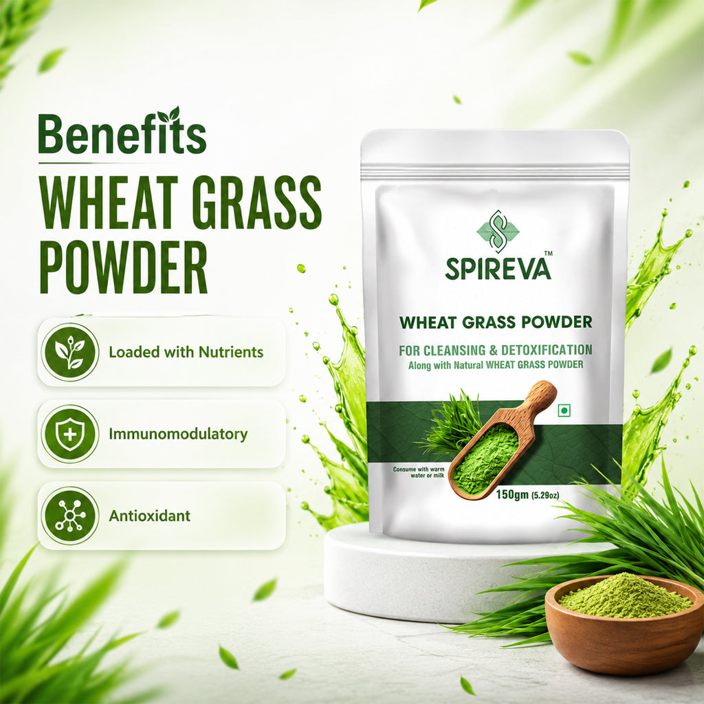 Natural Wheatgrass Powder | Ayurvedic Green Superfood Supplement | Rich in Nutrients & Antioxidants