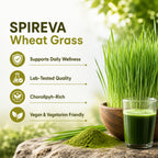 SPIREVA Wheatgrass 500mg Capsules | Non-GMO Daily Detox & Digestive Health Support