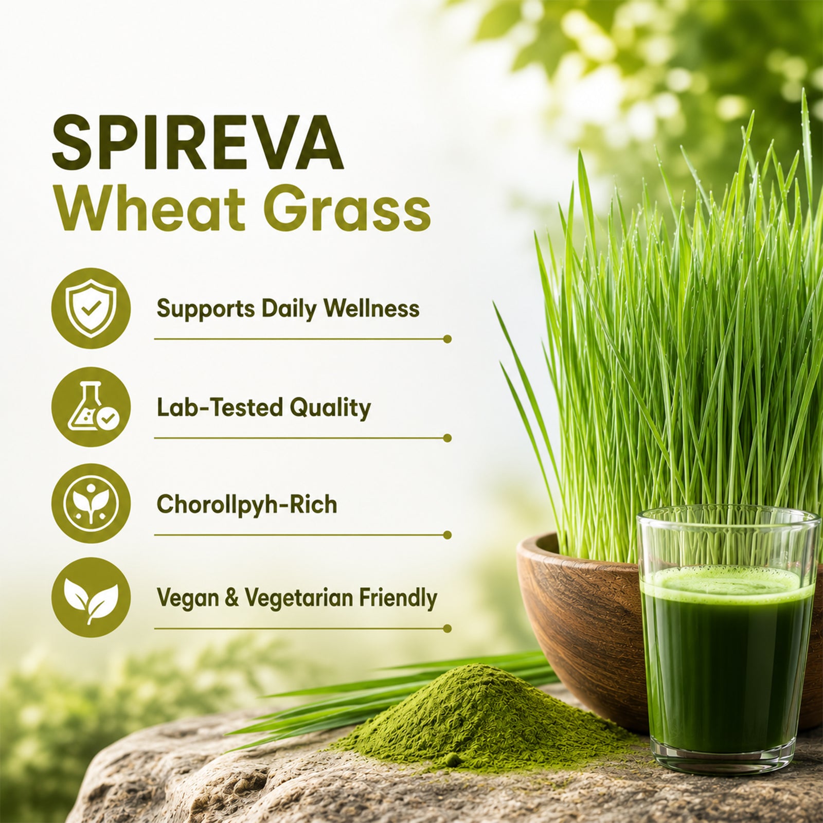 SPIREVA Wheatgrass 500mg Capsules | Non-GMO Daily Detox & Digestive Health Support